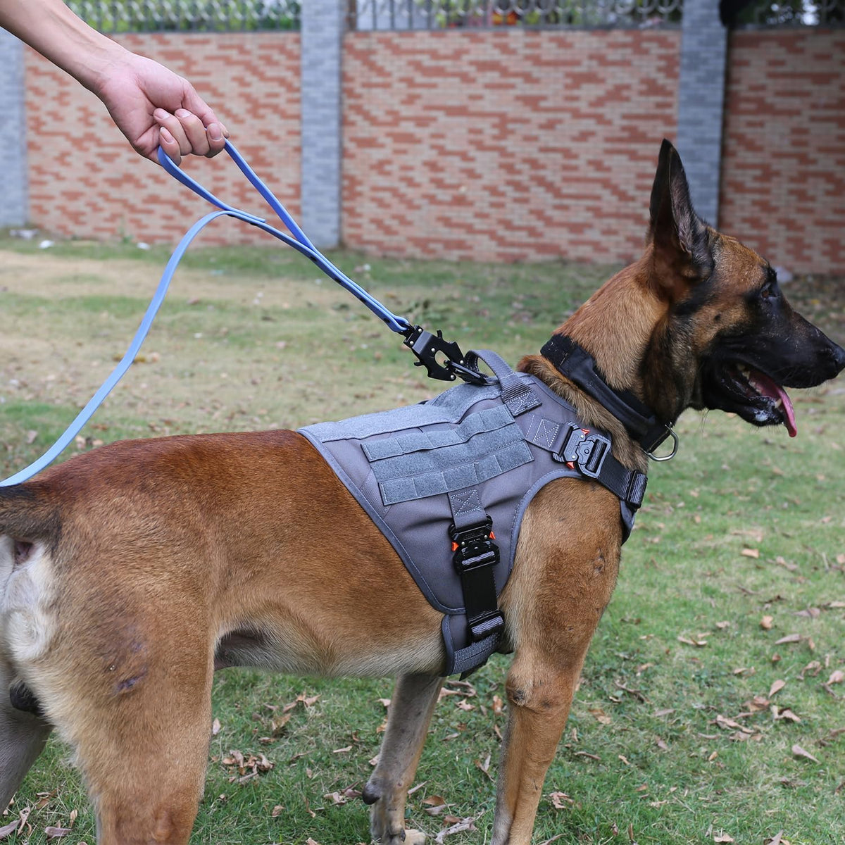 Tactical Dog Harness for Medium Dogs,Full Metal Buckles Dog Vest