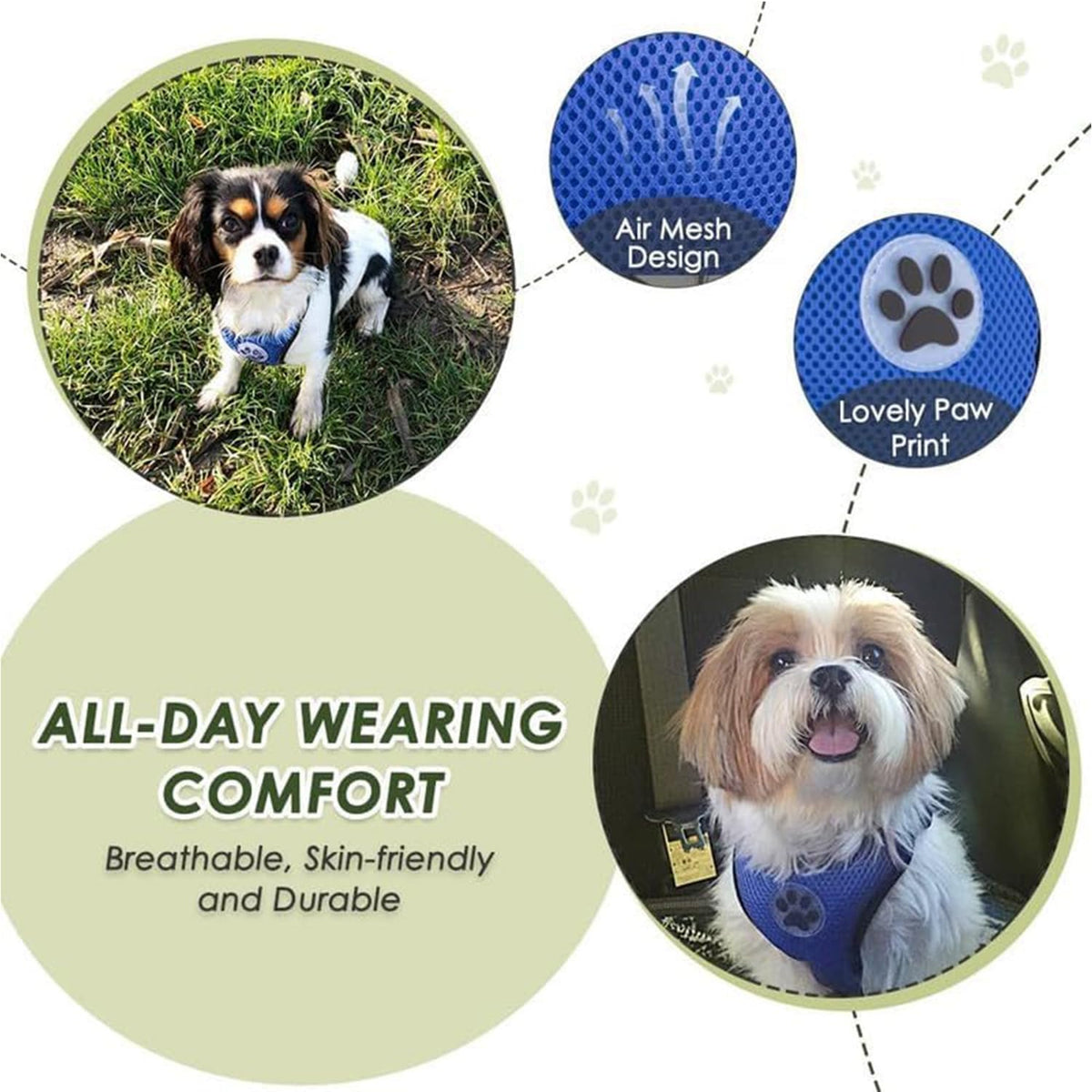 Dog Car Harness Seat Belt Set, Seatbelt with 2 in 1 Buckle, M