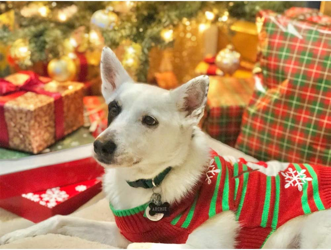 Dog Snow Sweaters - Xmas, New Year & Christmas Sweaters for Small Dog and Cat (Snowman, XXS)