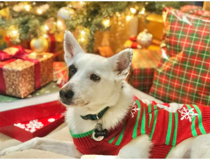 Dog Snow Sweater - Snowman Holiday Pet Clothes for Small Dogs and Cats - Christmas Xmas New Year (Snowman, M)
