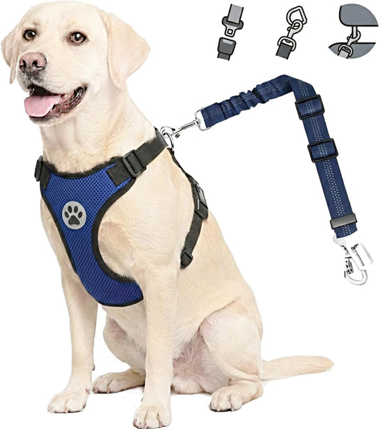 Dog Car Harness Seat Belt Set, Seatbelt with 2 in 1 Buckle, M