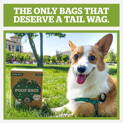 Pogi'S Large Dog Poop Bags with Handles, Fresh Scent, Extra Thick, 900 Bags
